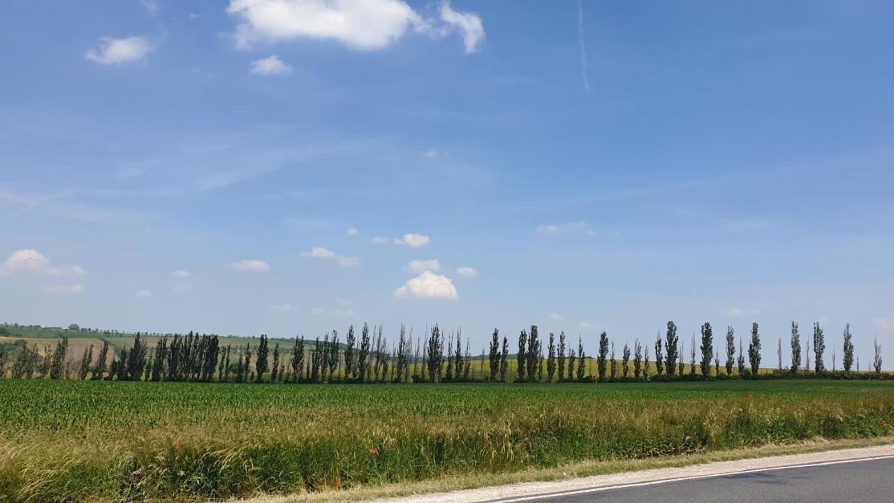 Ferienwohnung Sonnenschein Familie Hamdorf Bad Sulza Dış mekan fotoğraf