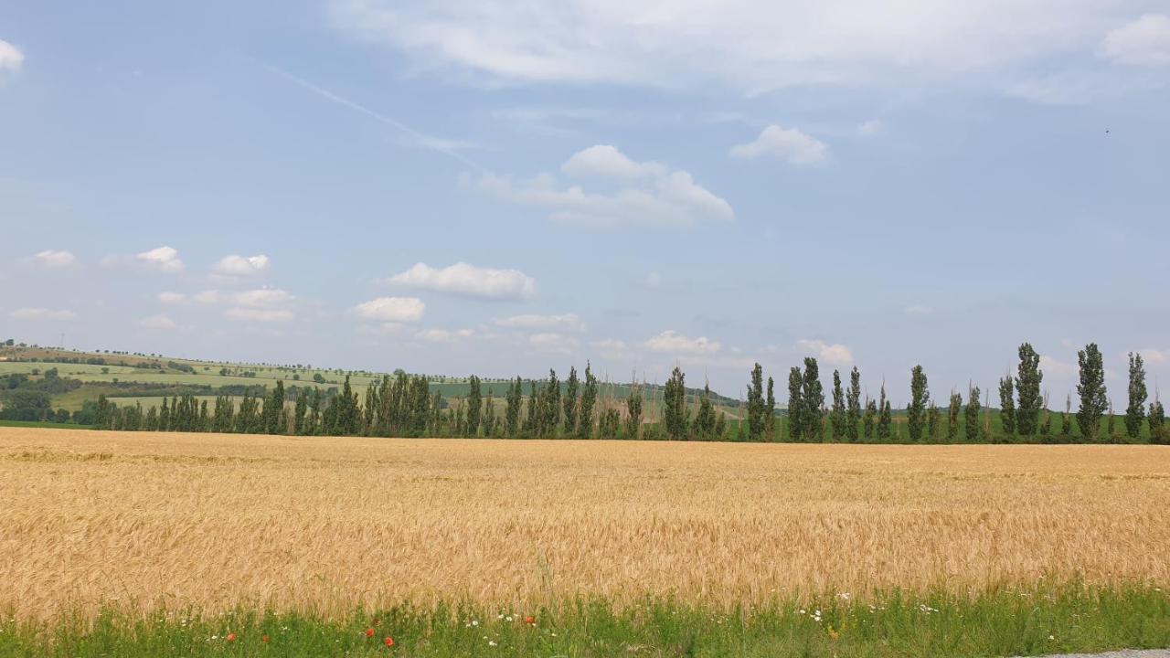 Ferienwohnung Sonnenschein Familie Hamdorf Bad Sulza Dış mekan fotoğraf
