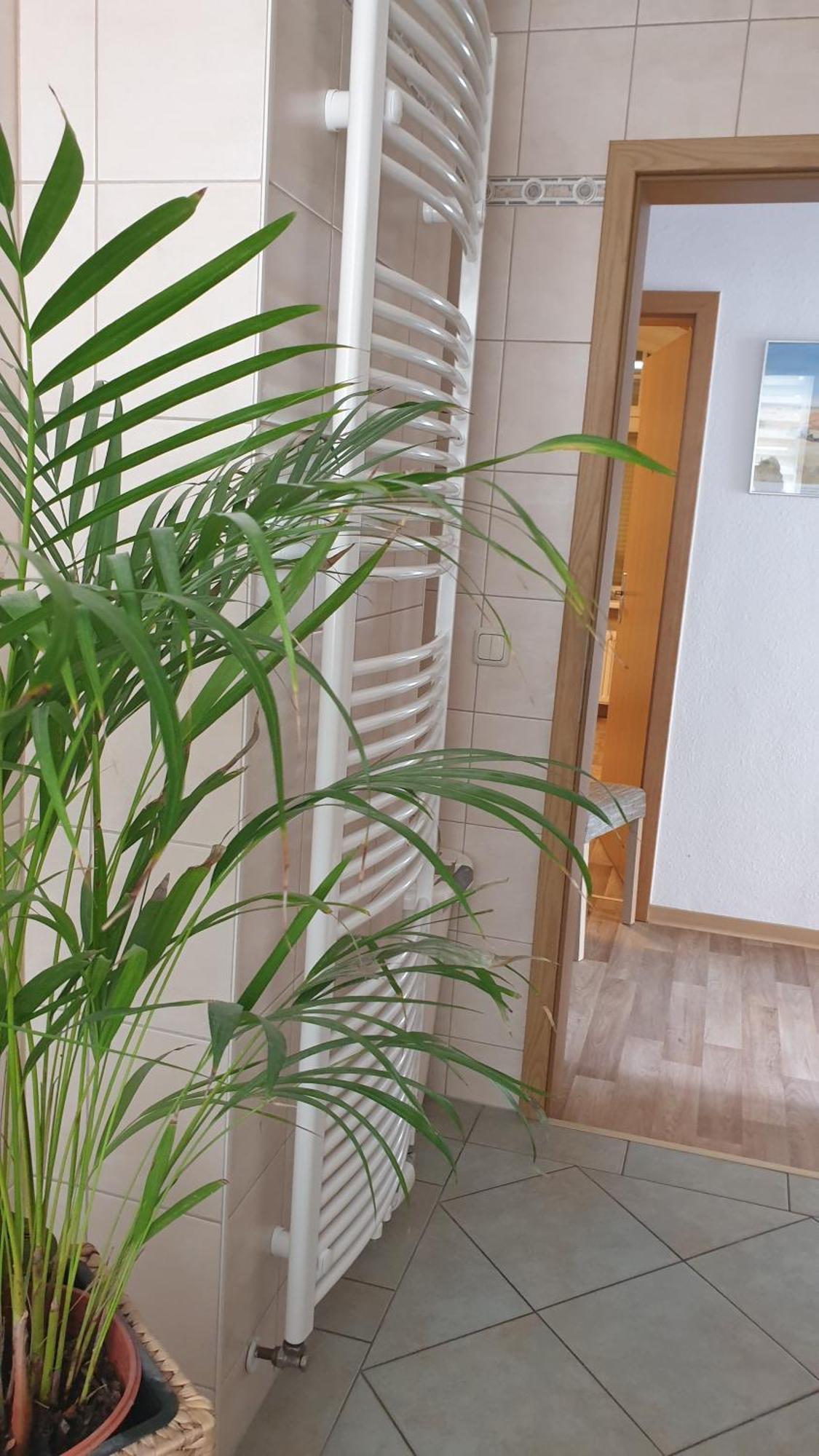 Ferienwohnung Sonnenschein Familie Hamdorf Bad Sulza Dış mekan fotoğraf